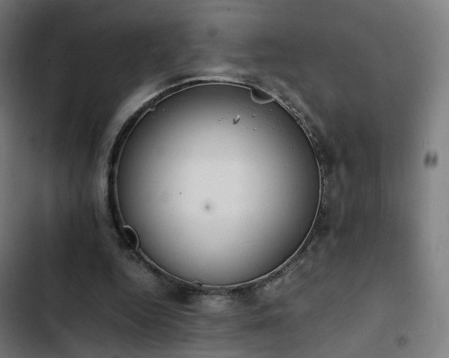X0000103270344200809051512
