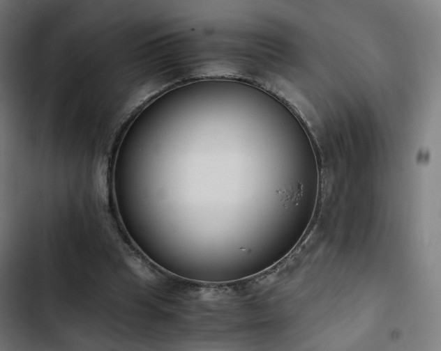 X0000103270345200809051512