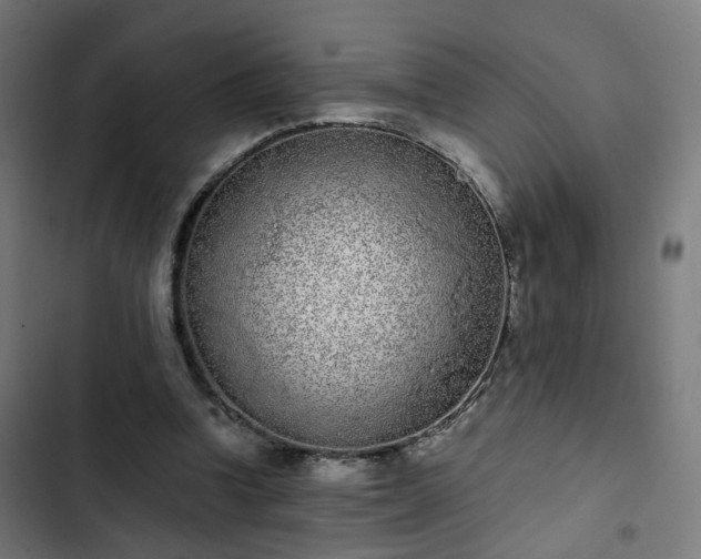 X0000103270346200809051512
