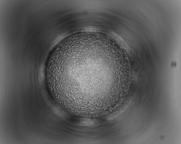 X0000103270347200809051512