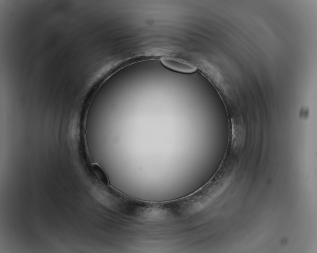 X0000103270348200809051513