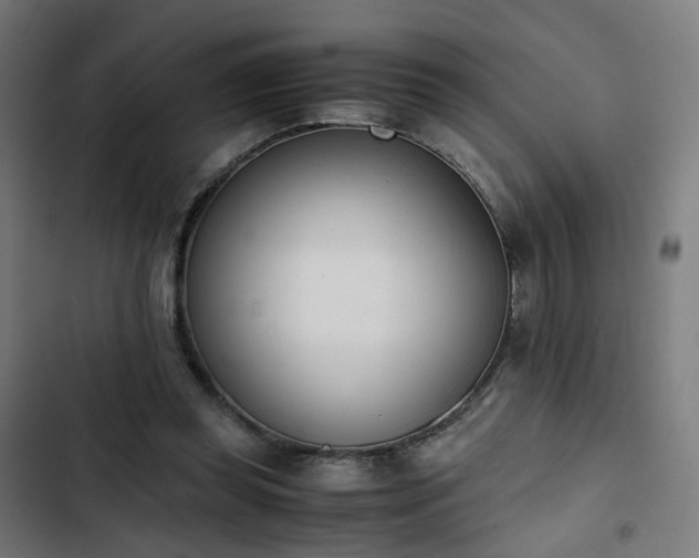X0000103270349200809051513