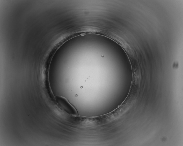 X0000103270350200809051513