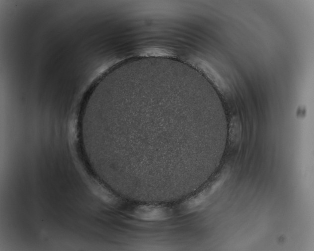 X0000103270351200809051513