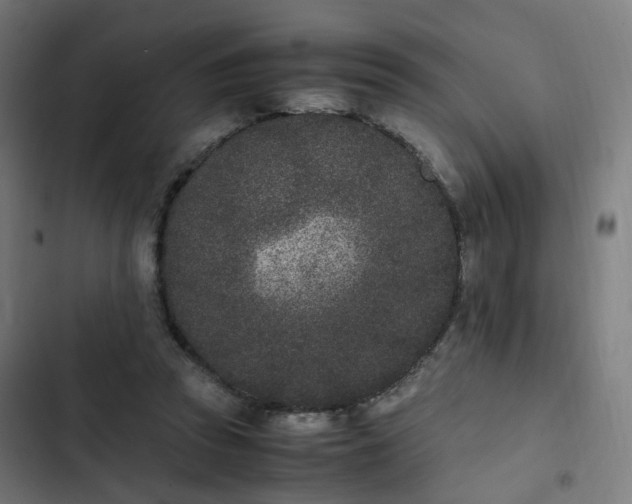 X0000103270353200809051513