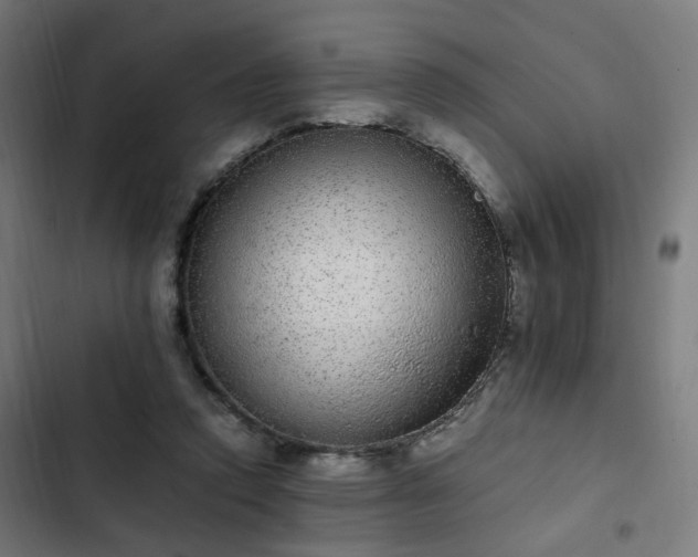 X0000103270354200809051513