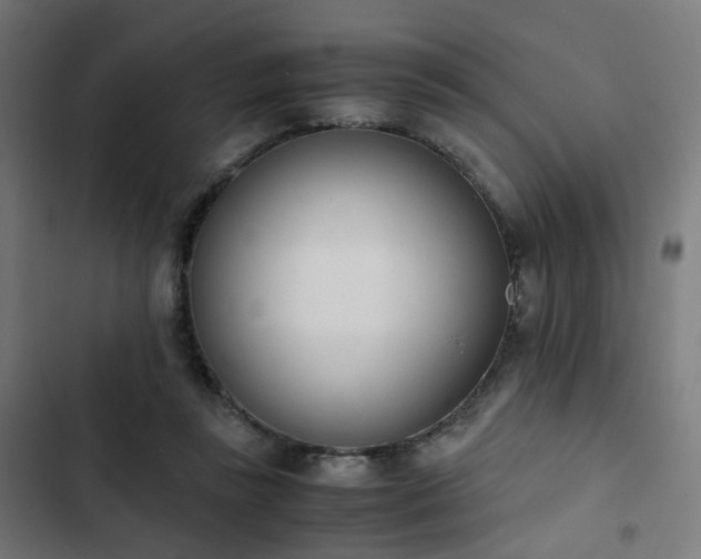 X0000103270355200809051513