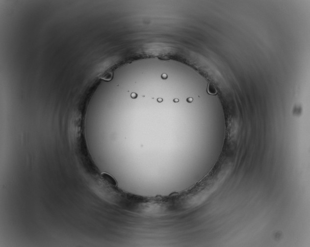 X0000103270356200809051513