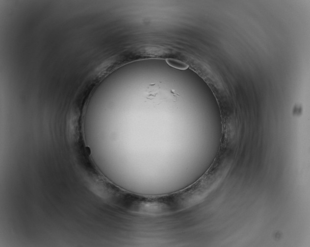 X0000103270360200809051513
