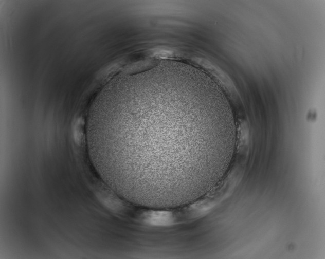 X0000103270361200809051513