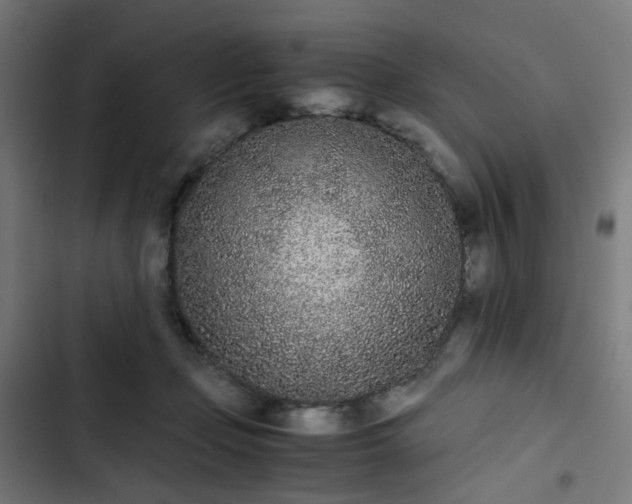 X0000103270365200809051513