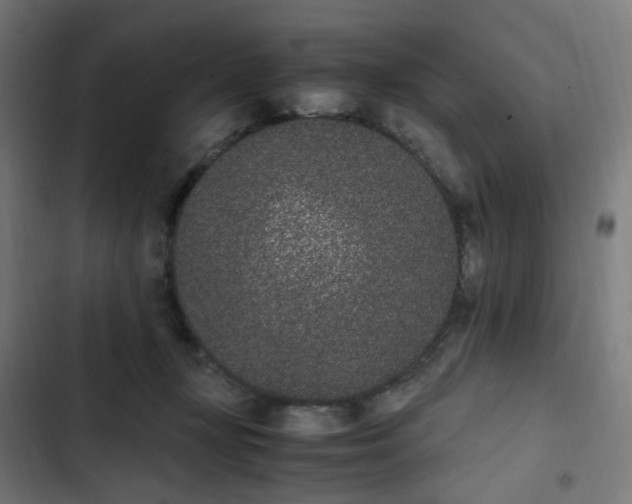 X0000103270367200809051513