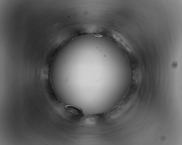 X0000103270368200809051513
