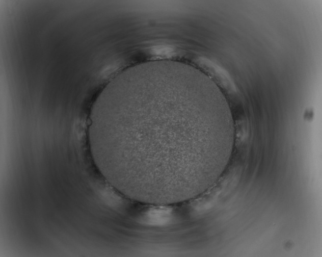 X0000103270369200809051513