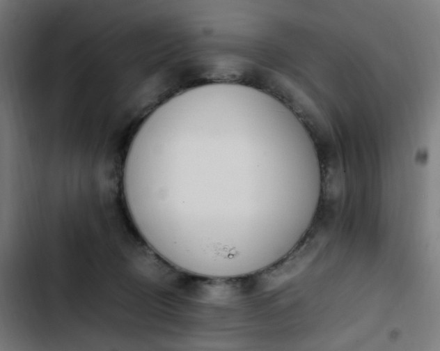 X0000103270370200809051513