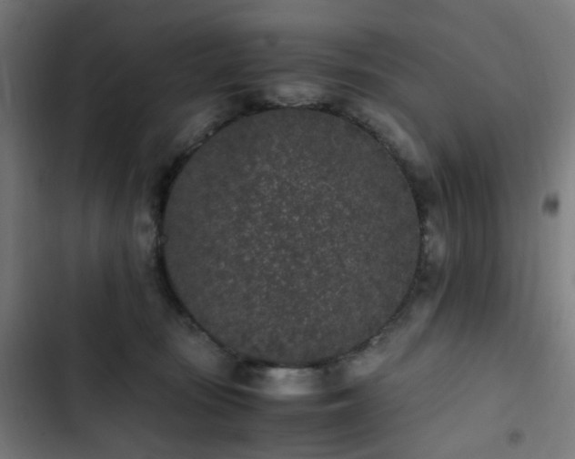 X0000103270371200809051513