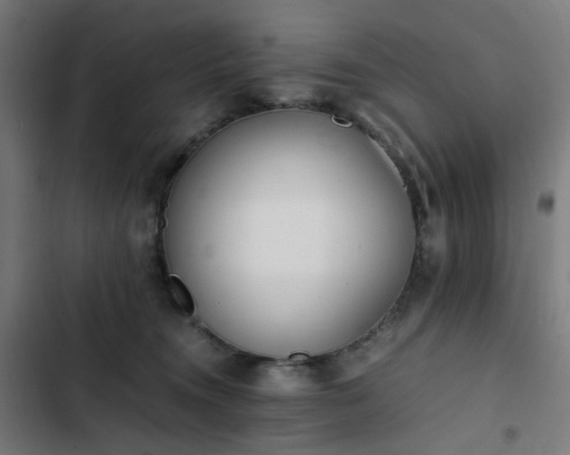 X0000103270372200809051513