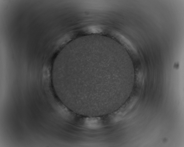 X0000103270373200809051513