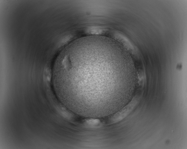 X0000103270374200809051513