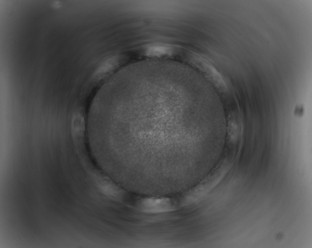 X0000103270375200809051513