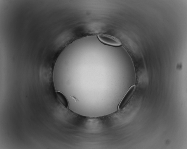 X0000103270376200809051513