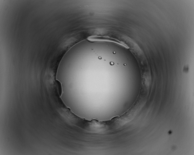 X0000103270380200809051513