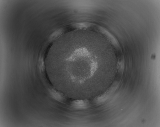 X0000103270381200809051513
