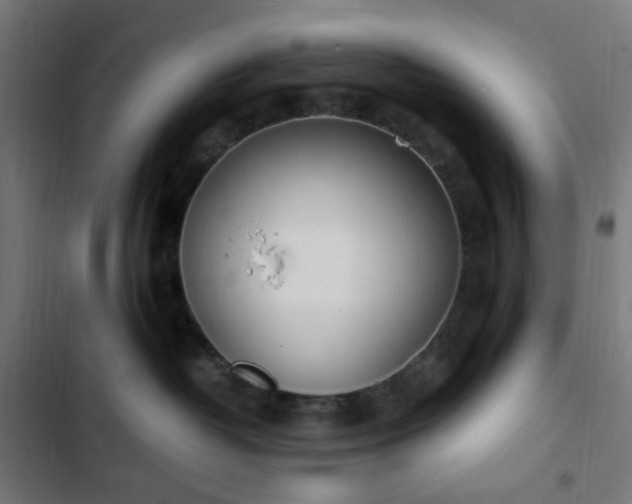 X0000103270382200809051513