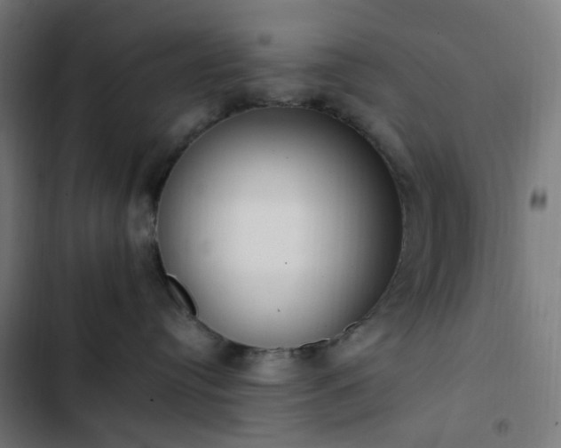 X0000103270384200809051513