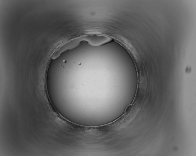 X0000103270385200809051512