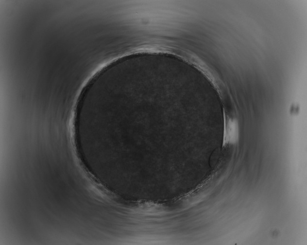 X0000103270387200809051512