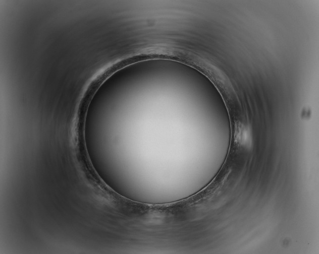 X0000103270388200809051512