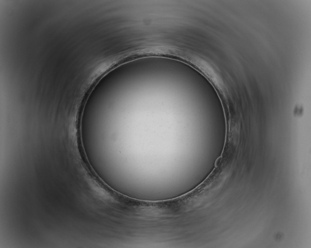 X0000103270389200809051512