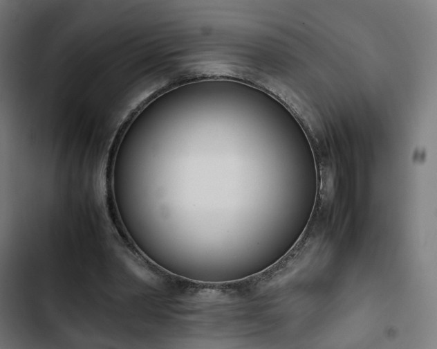 X0000103270390200809051512