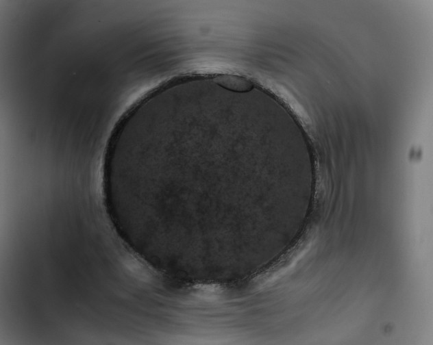 X0000103270391200809051512