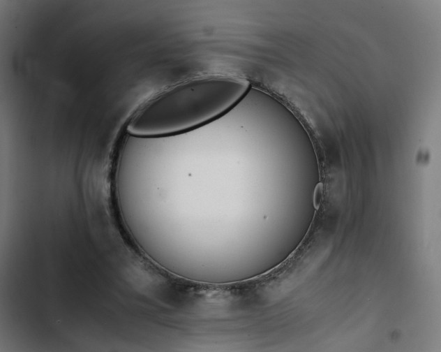 X0000103270395200809051512