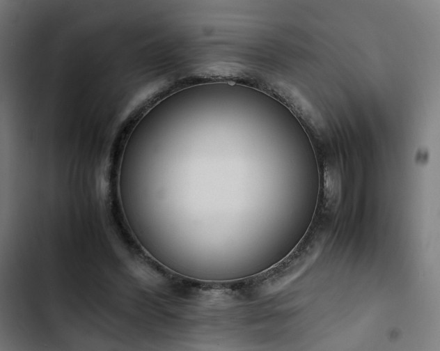 X0000103270396200809051512