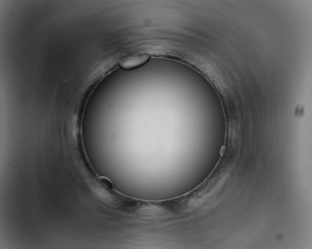 X0000103270397200809051512