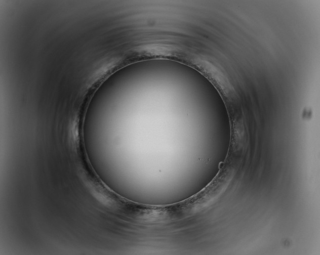 X0000103270398200809051512