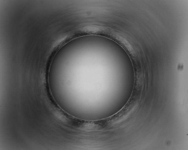 X0000103270399200809051512