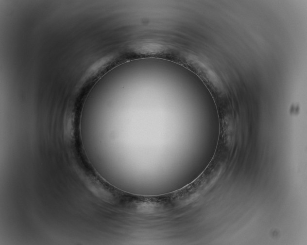 X0000103270400200809051512