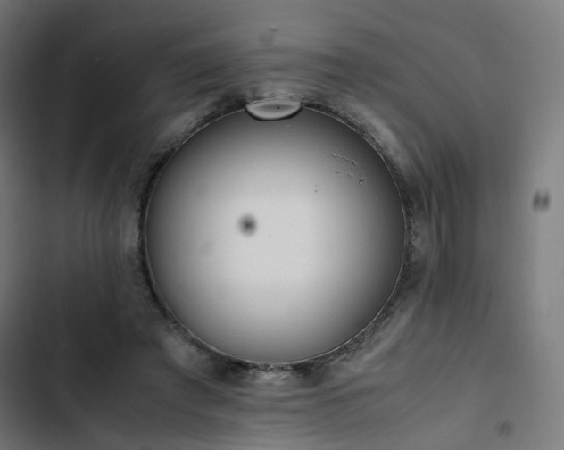 X0000103270401200809051512