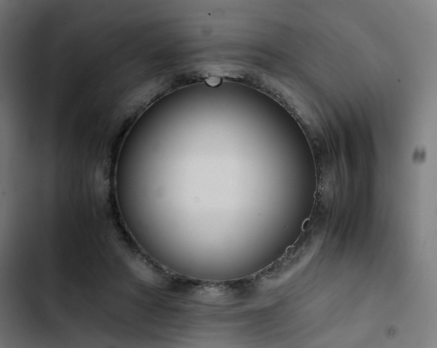 X0000103270402200809051512