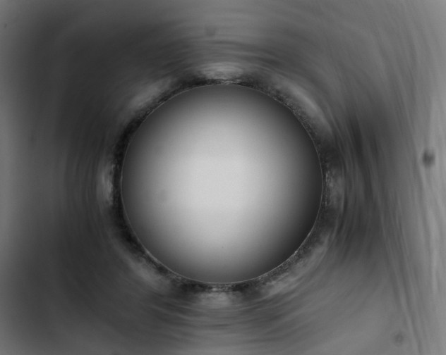 X0000103270404200809051512