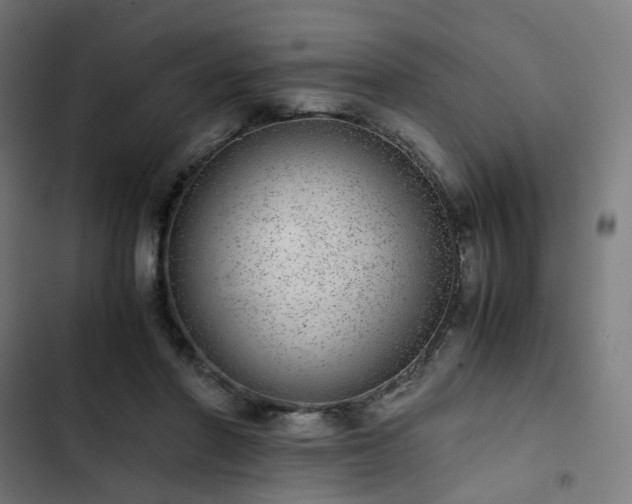X0000103270406200809051512