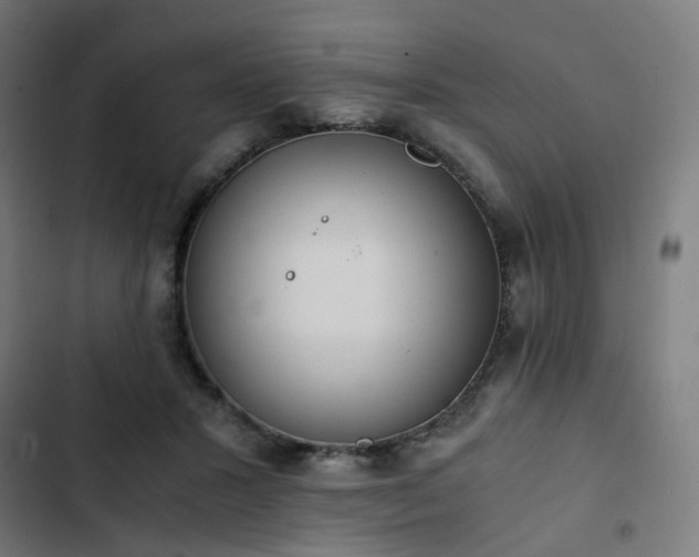 X0000103270407200809051512