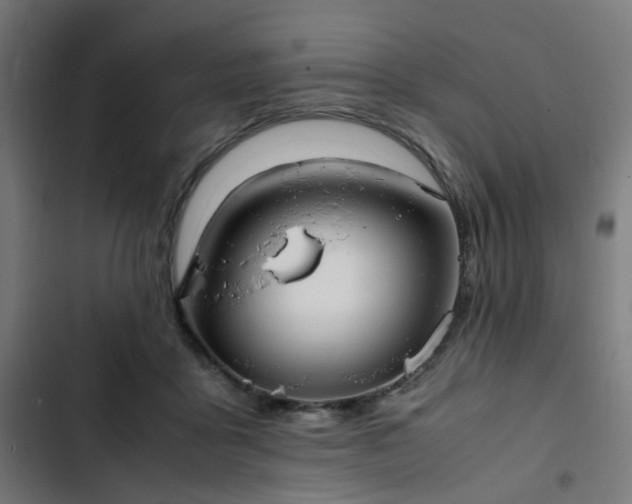 X0000103270411200809051512