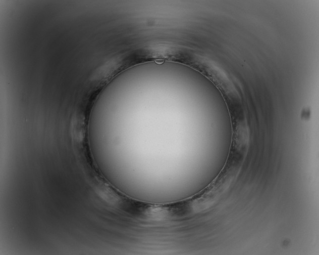 X0000103270413200809051512
