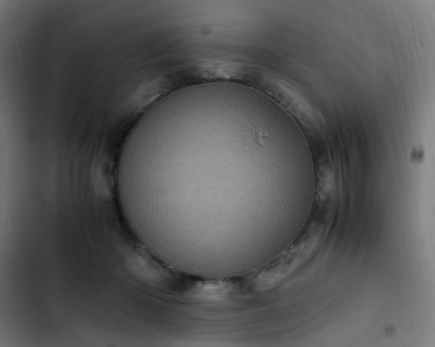 X0000103270414200809051512