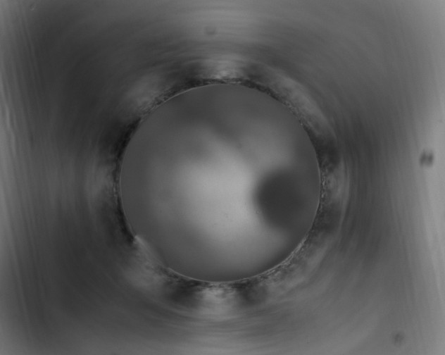 X0000103270415200809051512